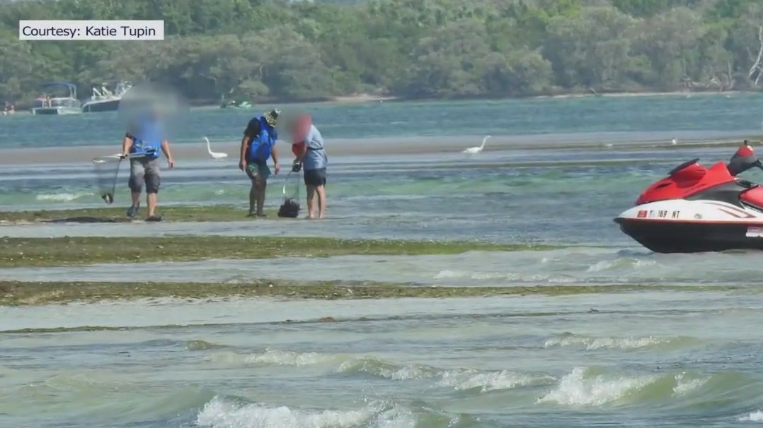 Illegally harvesting sea urchins harms ecosystem